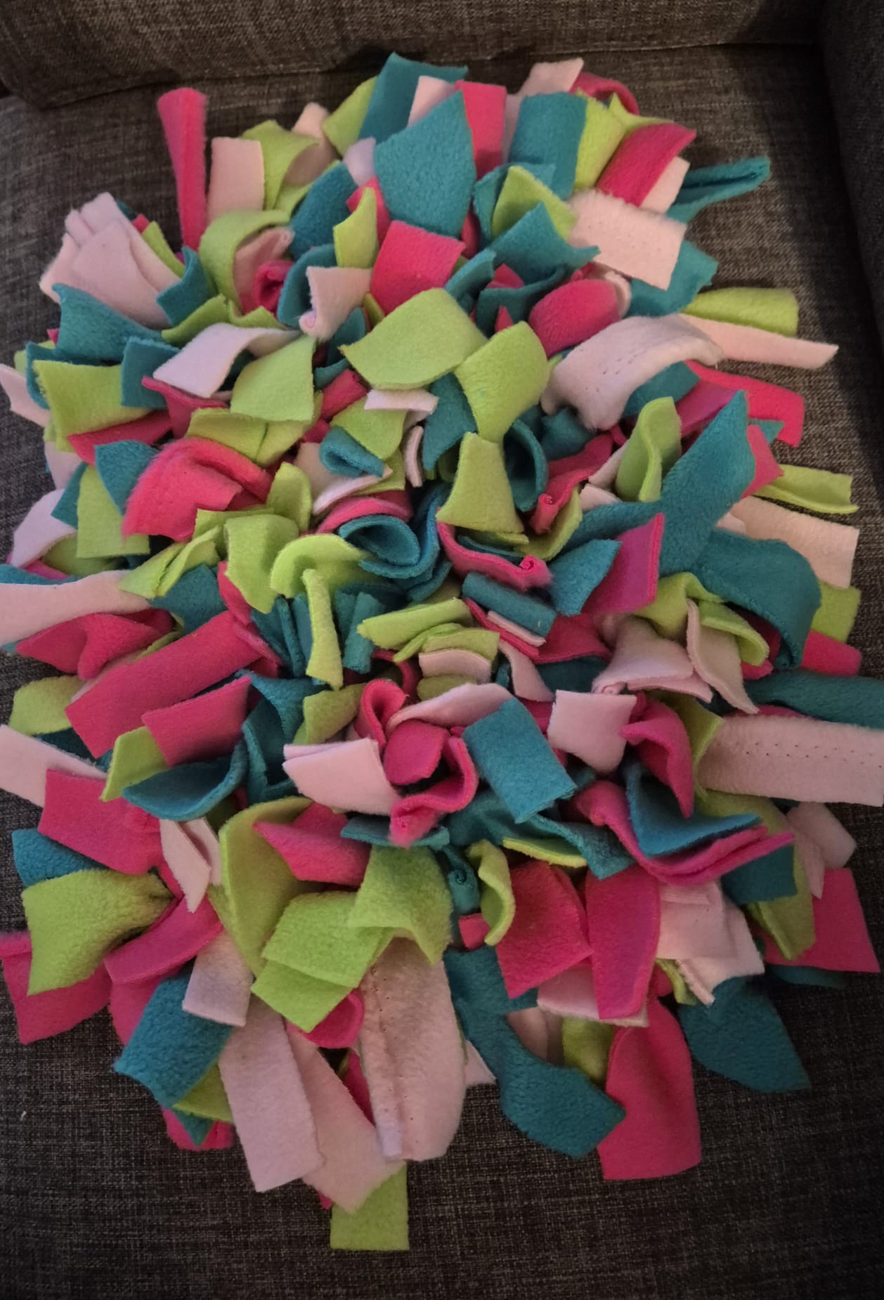 Treat Snuffle Mat