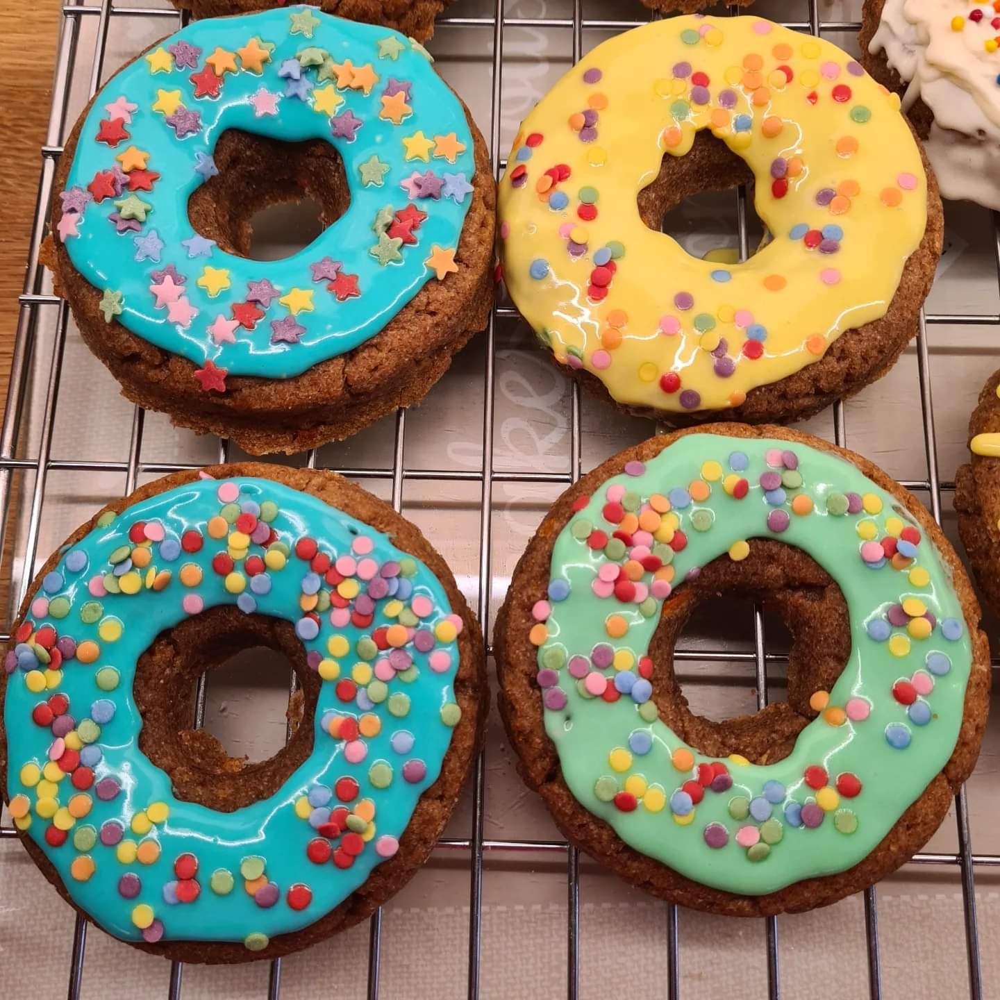 Decorated Doggy Donuts x1