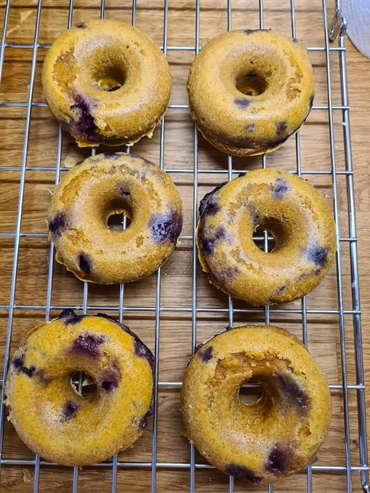 Doggy Donuts x1